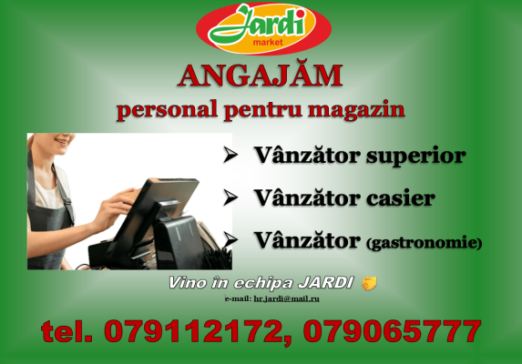 Vanzator - casier (centru comercial TORO str.Pan.Halippa, 6)