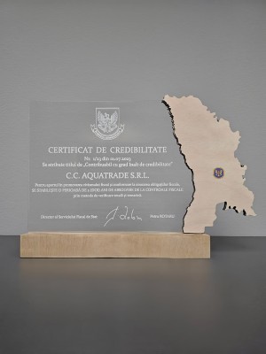 Agent vânzări I Агент по продажам, Chișinău