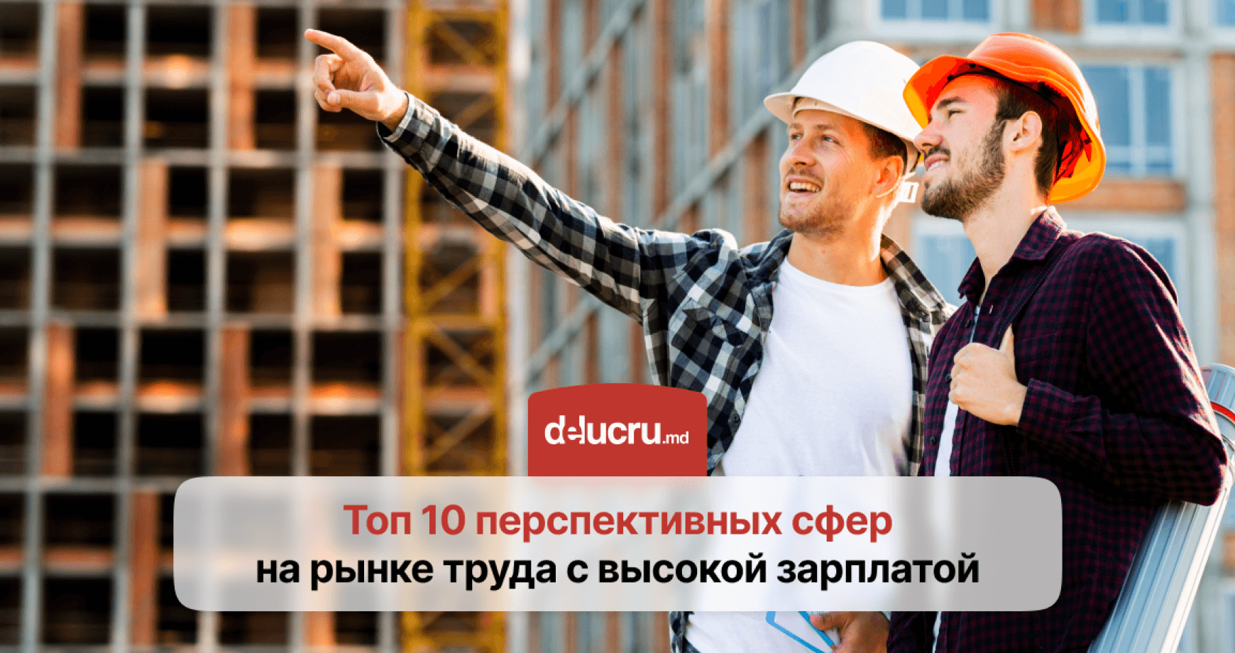 Топ перспективных сфер на рынке труда, где можно легко найти работу