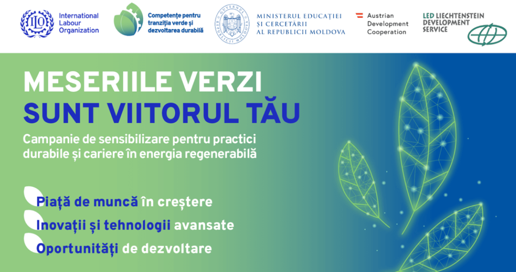 Trei meserii verzi care vor revoluționa viitorul ecologic al Moldovei în 2025