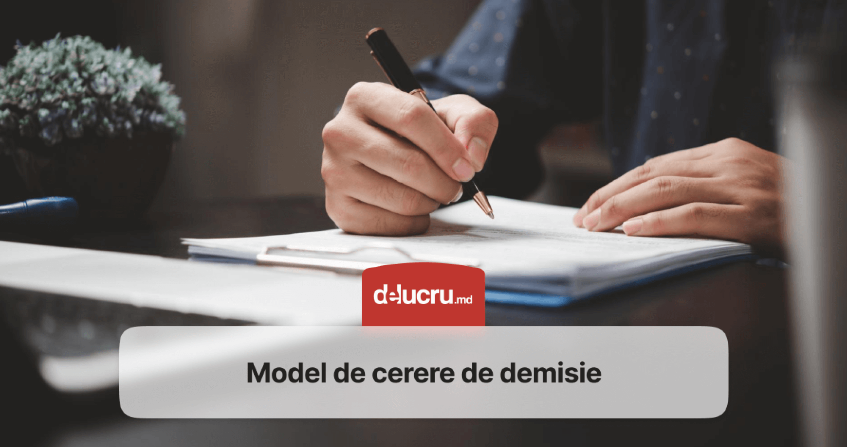 Model de cerere de demisie și/sau eliberare din funcție. Gratuit și ușor de completat.