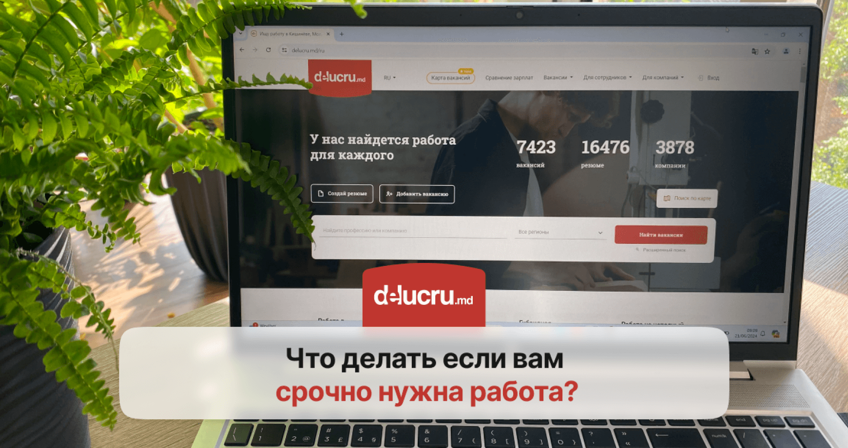 Если работа нужна срочно: как получить максимальную пользу от delucru.md