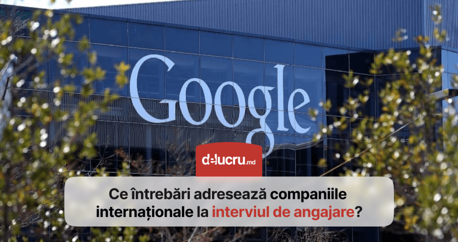 15 întrebări frecvente pe care le pun la interviul de angajare cele mai mari companii din lume - Facebook, Google, Microsoft, Ford, etc..