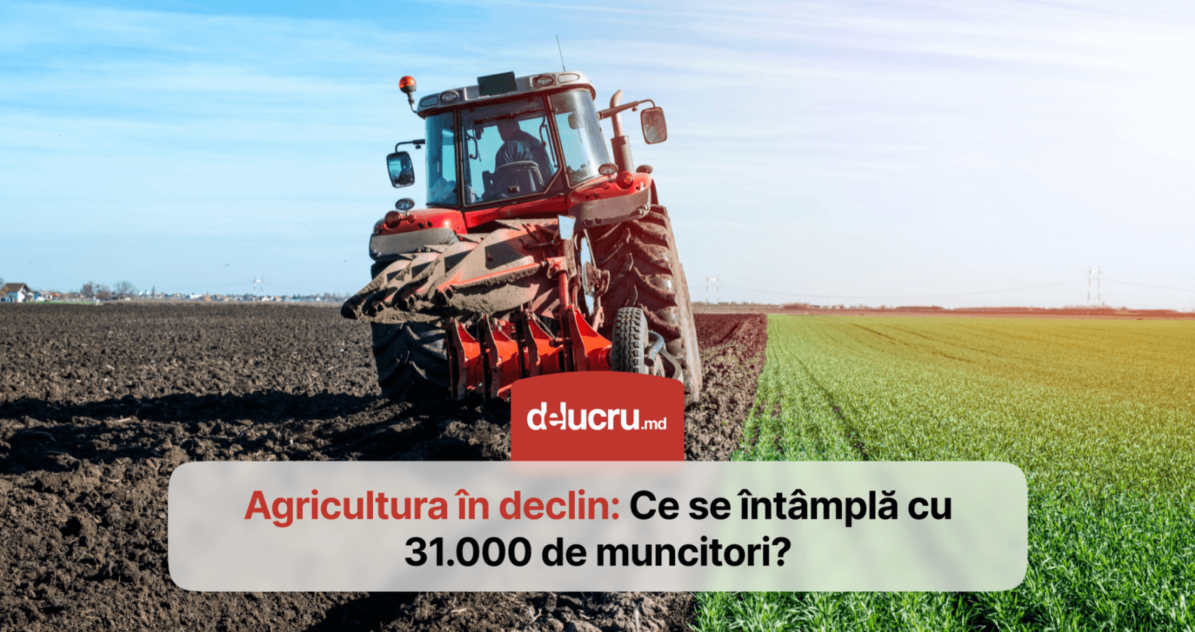 Moldova: o țară agricolă fără agricultori? 31.000 de oameni, disponibilizați din sistem în 2024